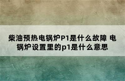 柴油预热电锅炉P1是什么故障 电锅炉设置里的p1是什么意思